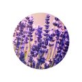 Lavendel